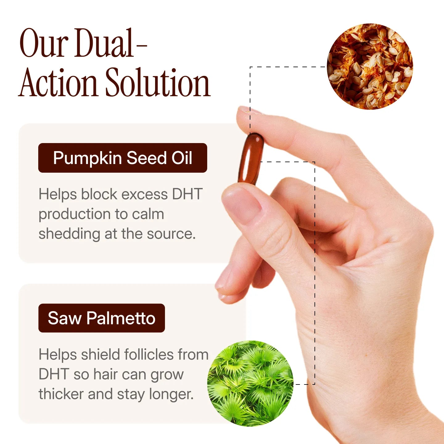 Pumpkin Seed Oil Softgels